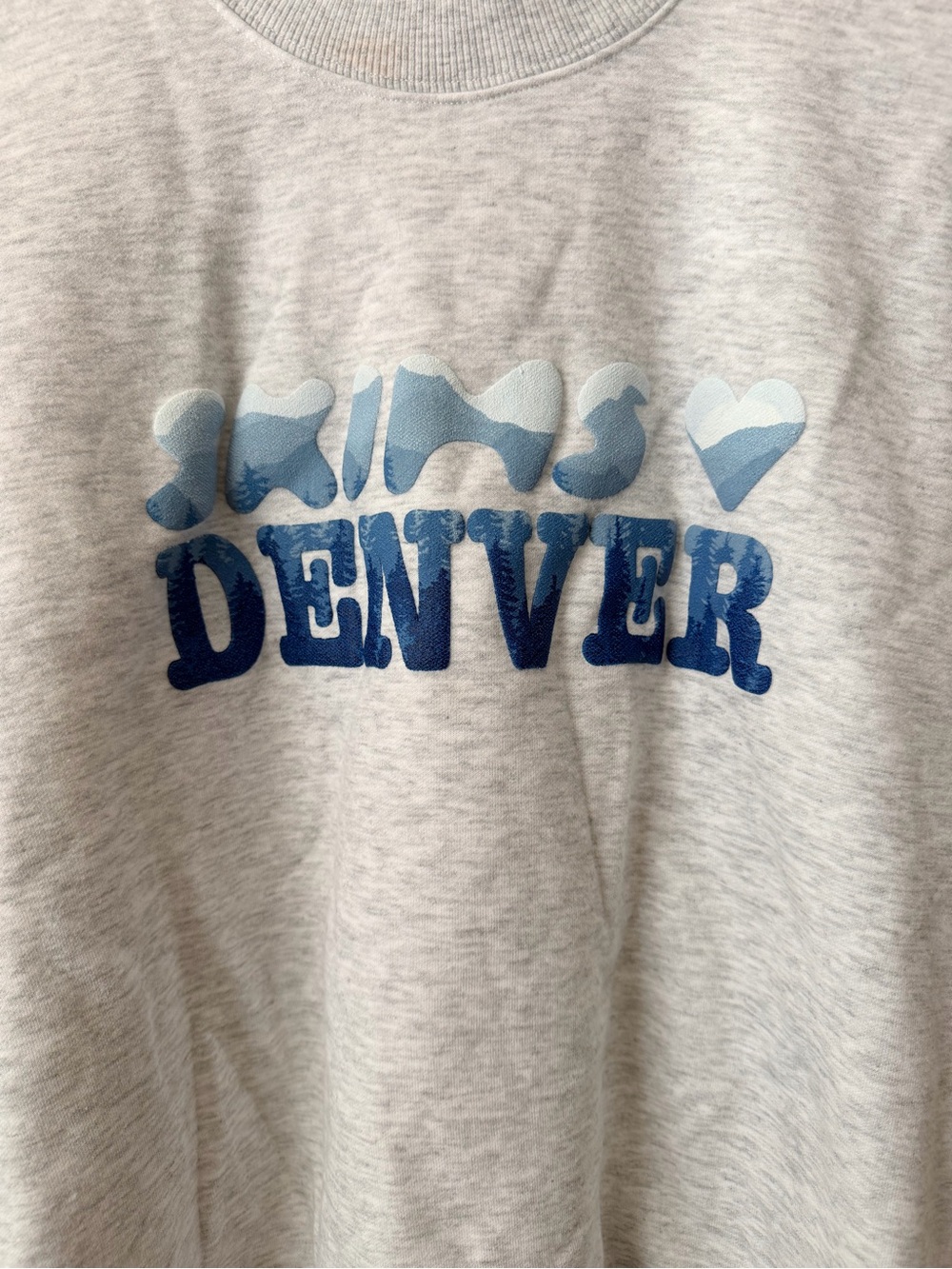 SKIMS COTTON FLEECE
CLASSIC CREW SWEATSHIRT LIGHT HEATHER GRAY DENVER SIZE SMALL - Picture 2 of 6